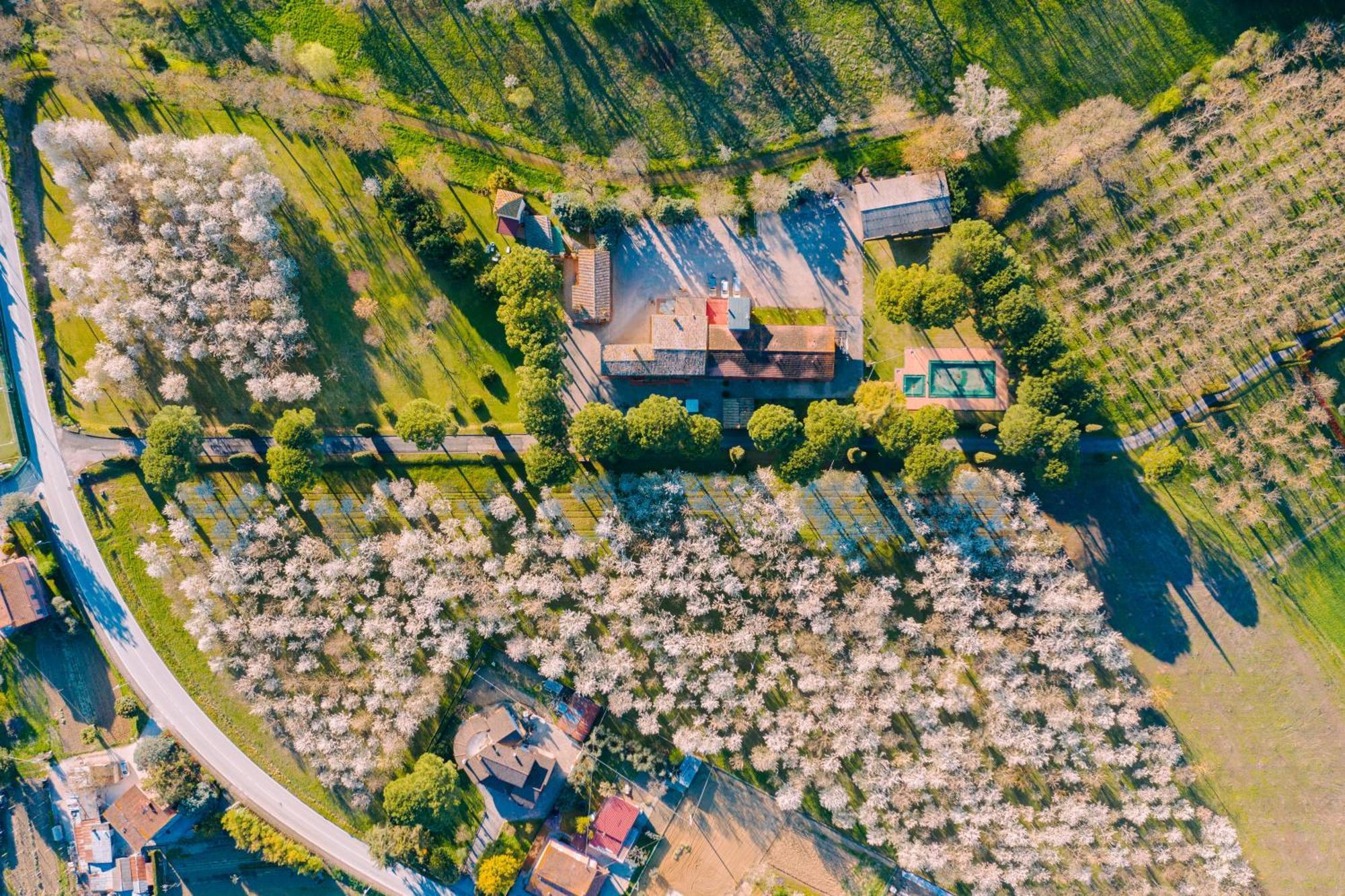 Hotel La Torretta Assisi Exterior foto